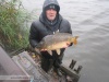 Popularea din luna Octombrie, 2018
